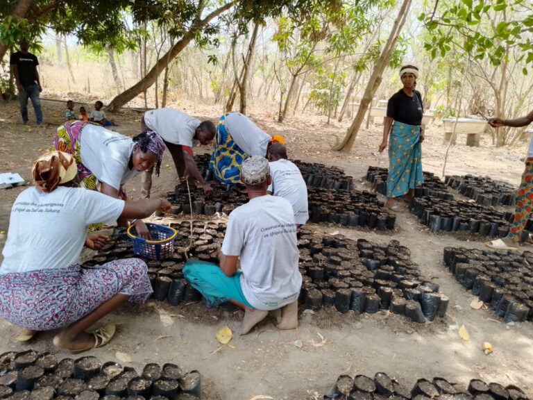 FC-SSA Project Field Mission: Nurseries Established and Plaques Installed