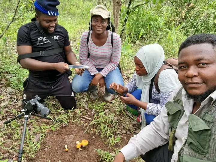 MYCOBLITZ Summer Course 2024 in Benin