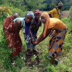 Restoration of Kpeoussobé Sacred Forest