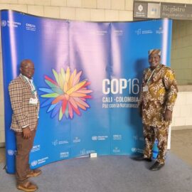 MyTIPS at COP16: Fungal Conservation on the Global Stage