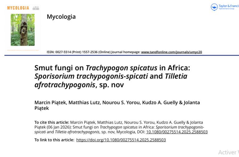 New Scientific Publication : Smut fungi on Trachypogon spicatus in Africa: Sporisorium trachypogonis-spicati and Tilletia afrotrachypogonis, sp. novNew